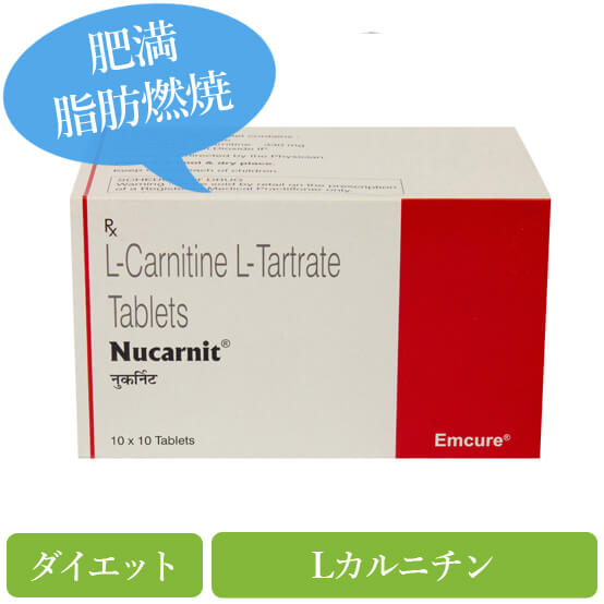Lカルニチン330mg(l-carnitine)