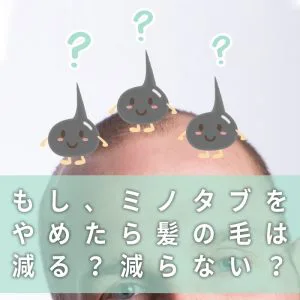 帽子やヘルメットでハゲるって嘘 本当 薄毛の原因と対策とは 個人輸入代行 通販ラククル