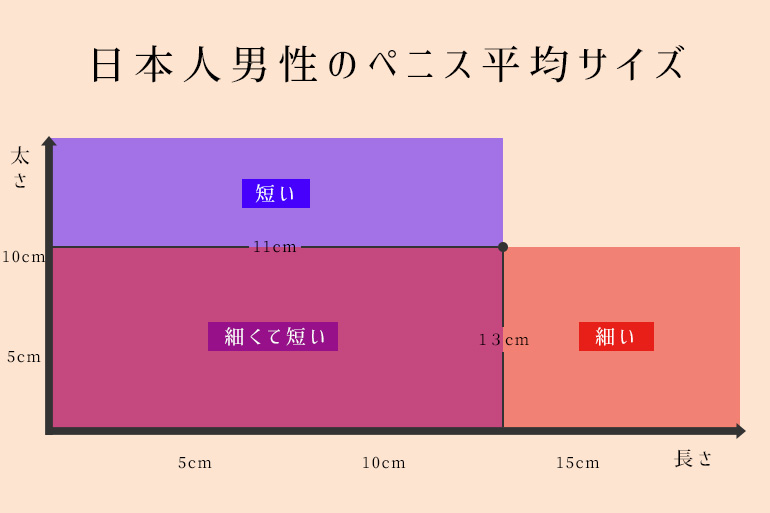 日本人男性のペニス平均サイズ