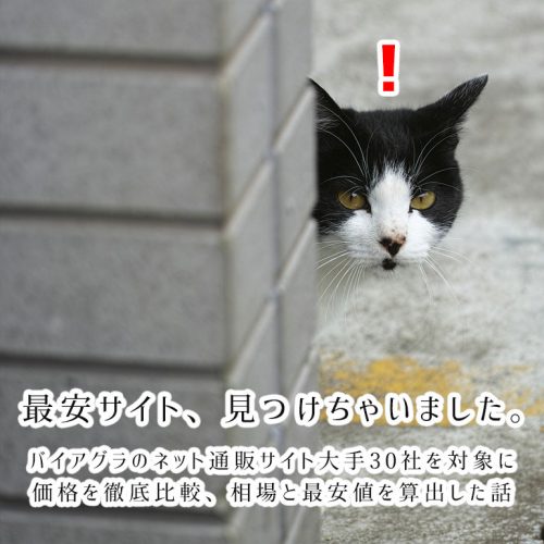 【大手30社を価格比較】2021年バイアグラ50mg/100mgの最安値サイトは