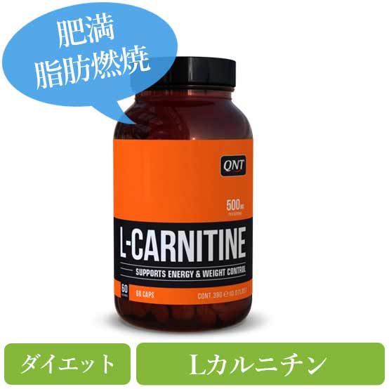Lカルニチン500mg(L-Carnitine)