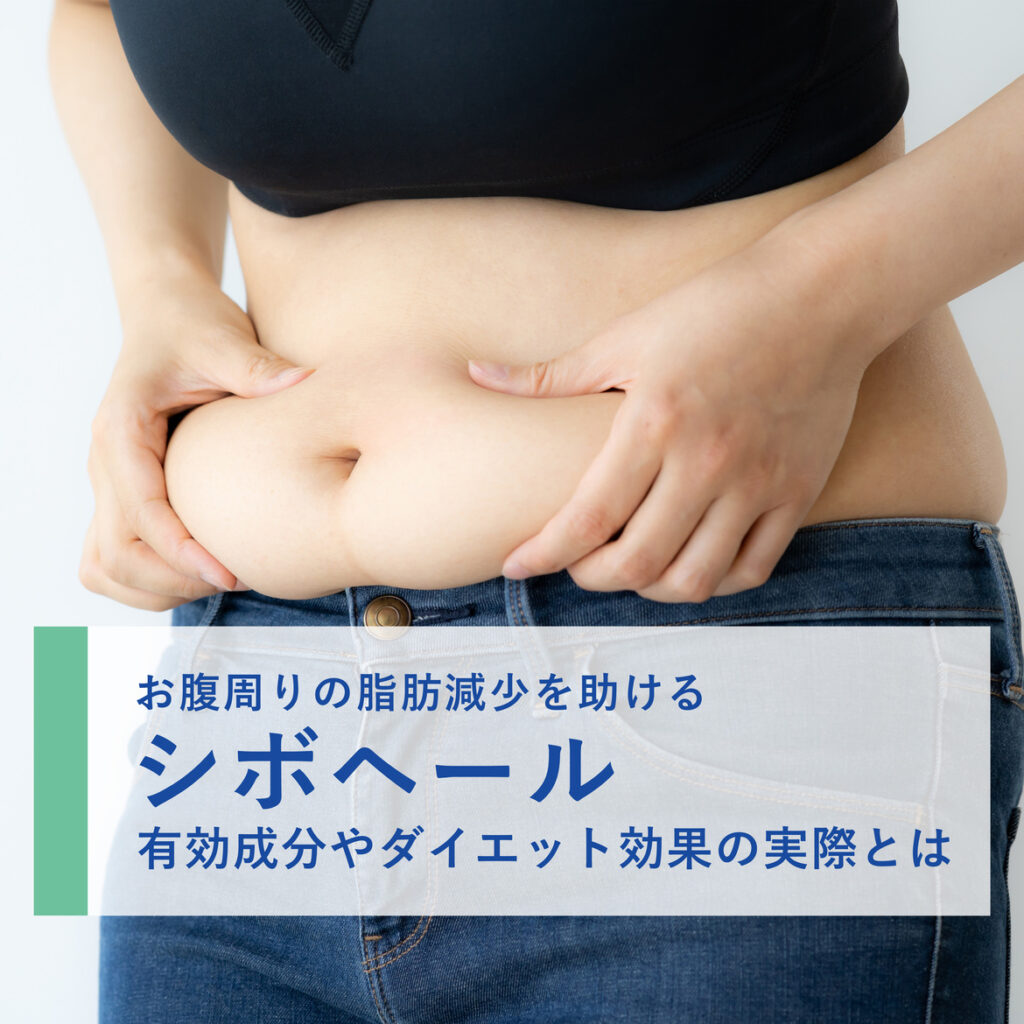 ほぼ痩せない!?シボヘールを3か月使った時のダイエット効果を徹底検証！