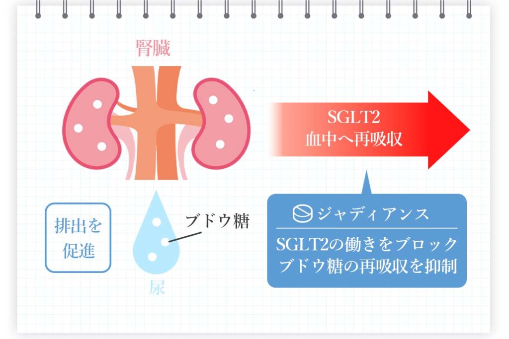 どんな薬？ジャディアンスについて